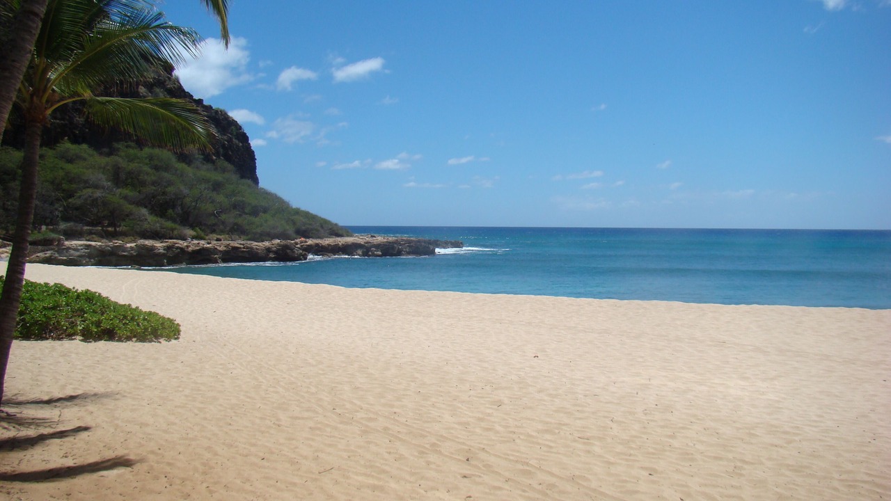 Photo of Others in Makaha