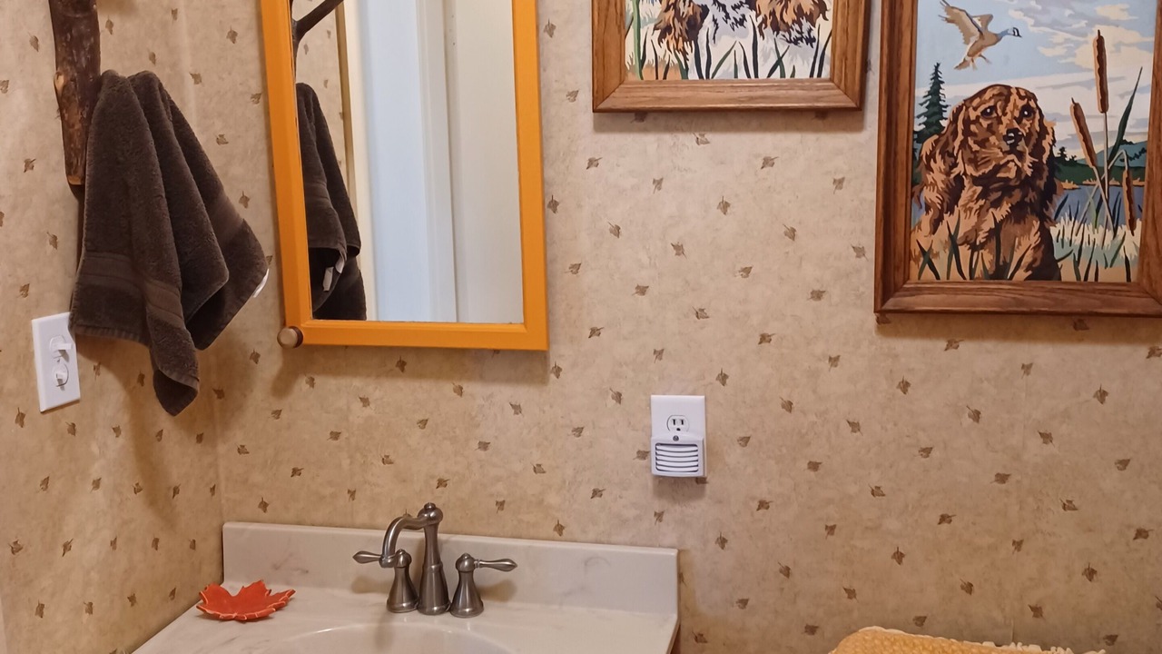 Photo of Bathroom in Paw Paw