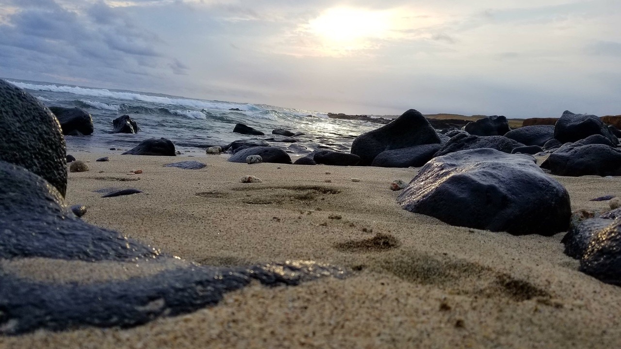 Photo of Others in Naalehu