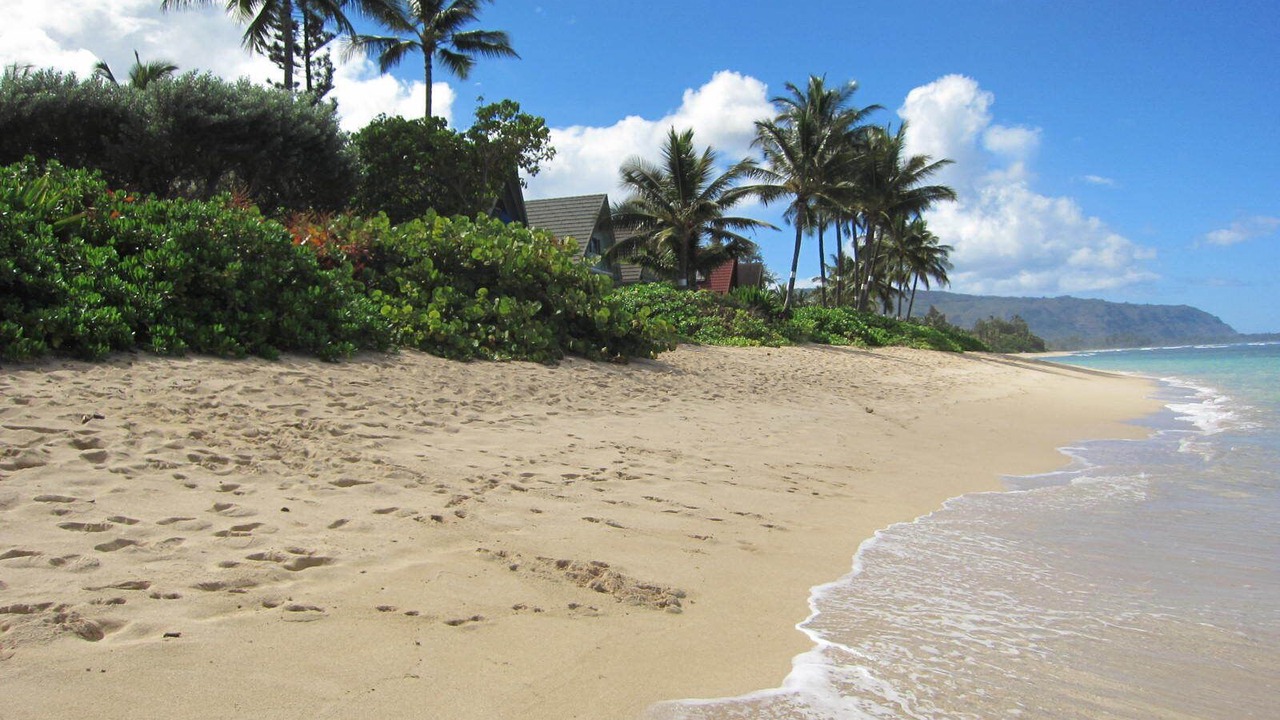 Photo of Others in Mokuleia
