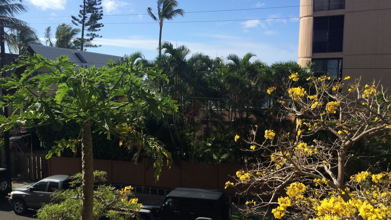 Photo of Others in Mokuleia