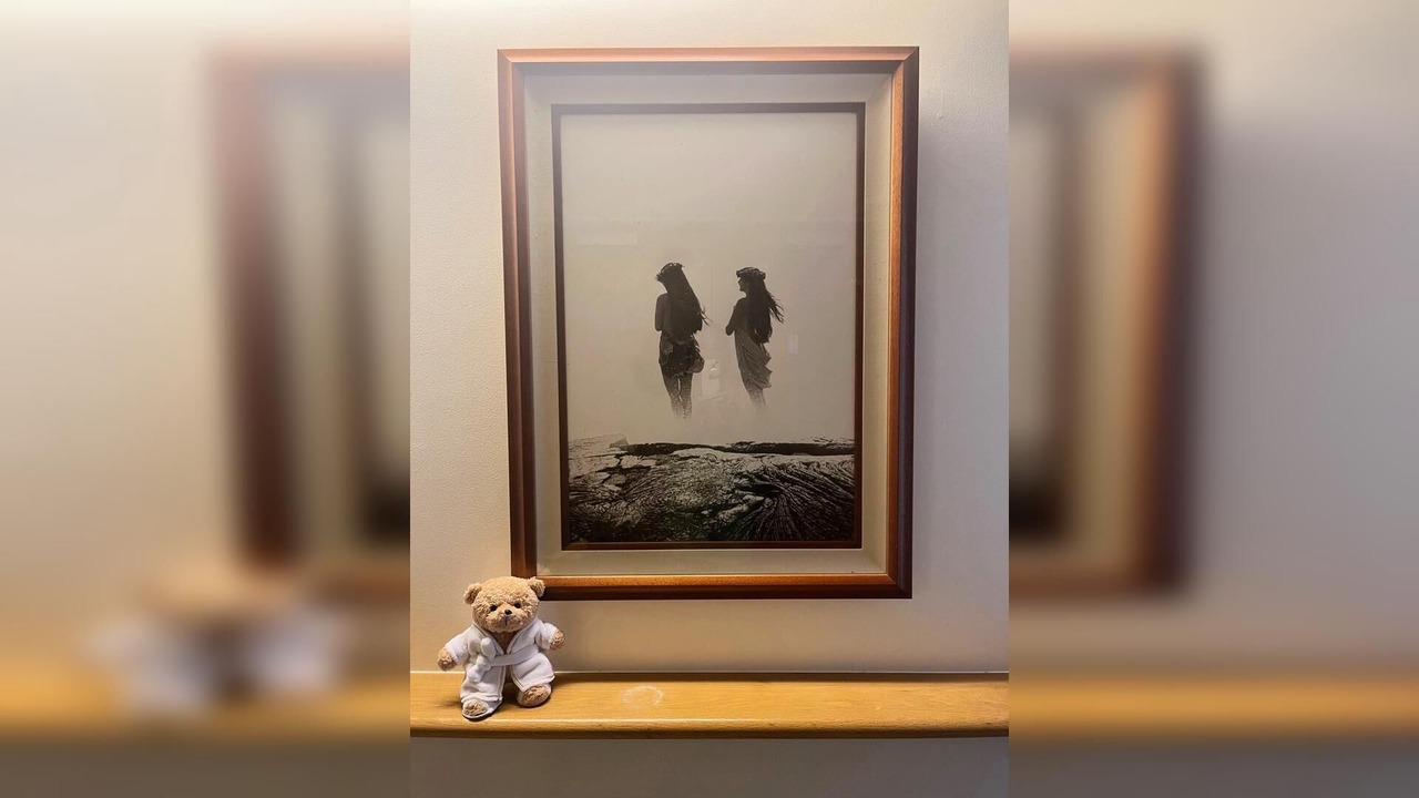 Photo of Others in McCully - Moiliili