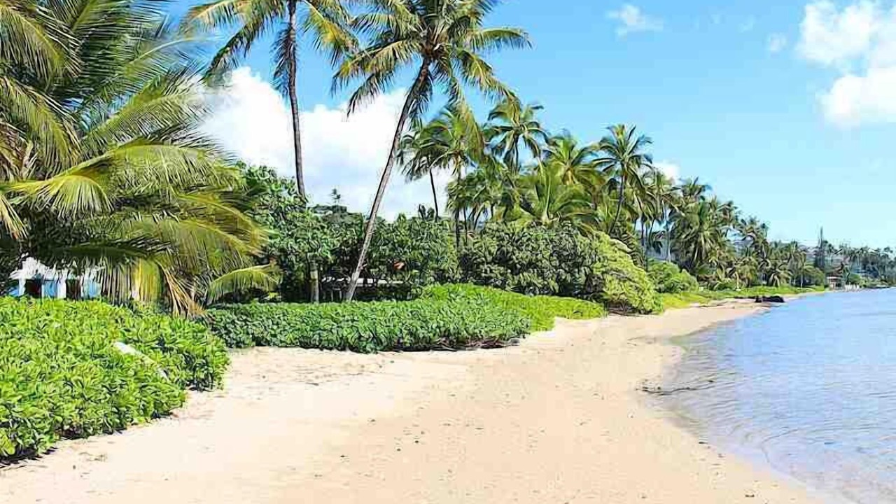 Photo of Others in Waialae Iki Ridge