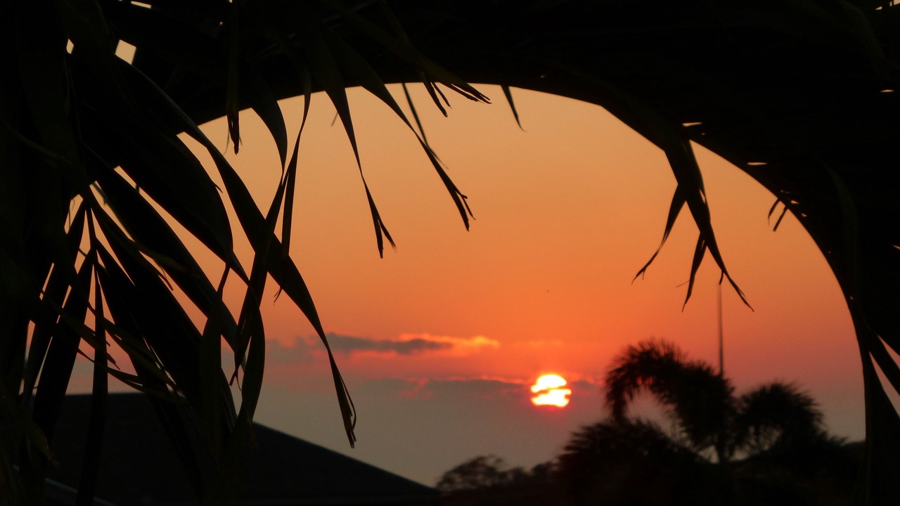 Photo of Others in Kapolei