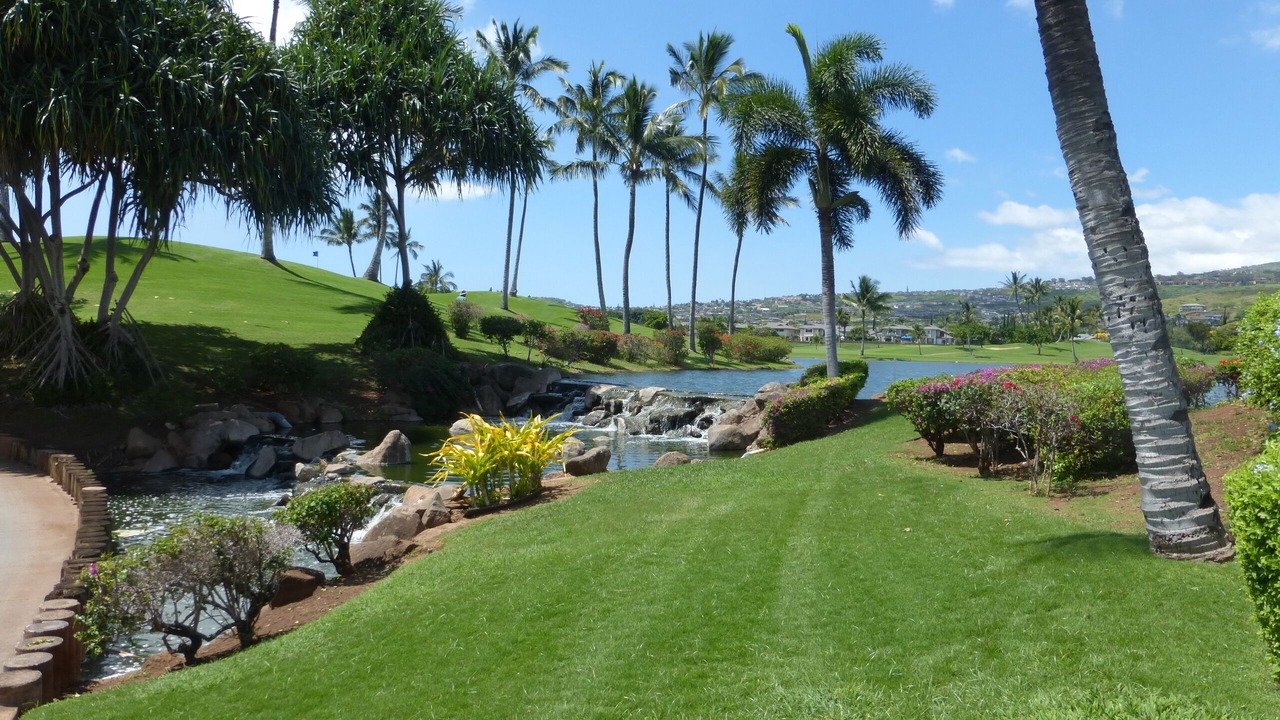 Photo of Others in Kapolei