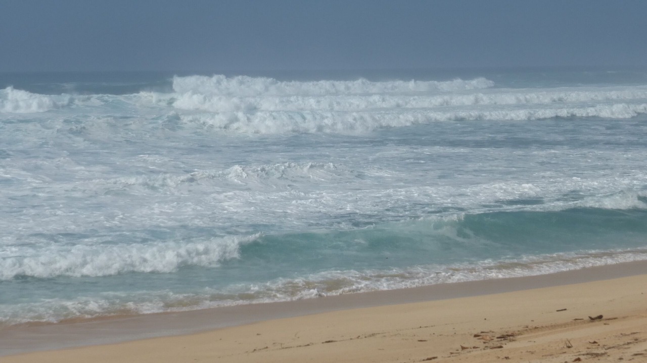 Photo of Others in Kapolei