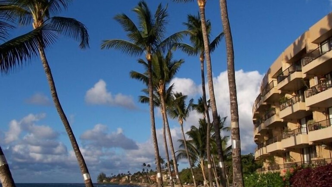 Photo of Others in Honokowai