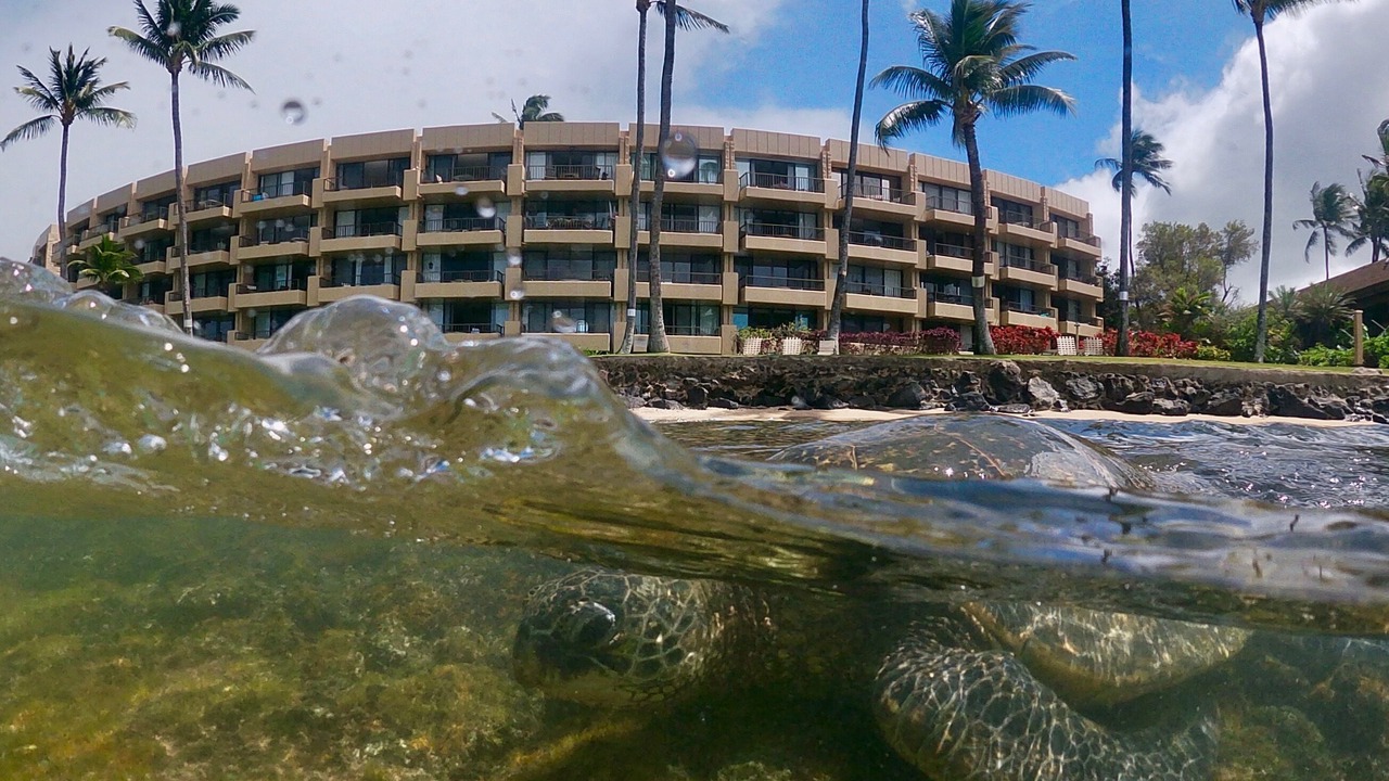 Photo of Others in Honokowai