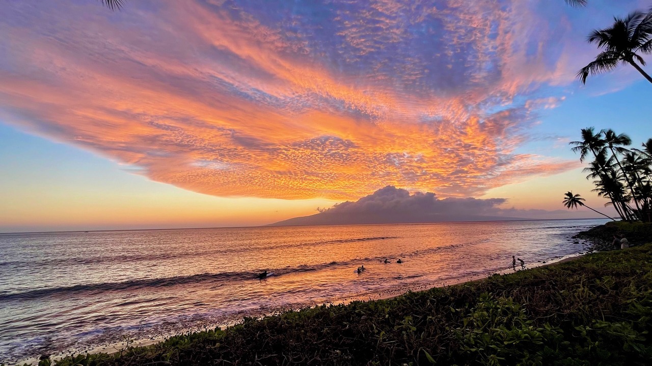 Photo of Others in Downtown Lahaina