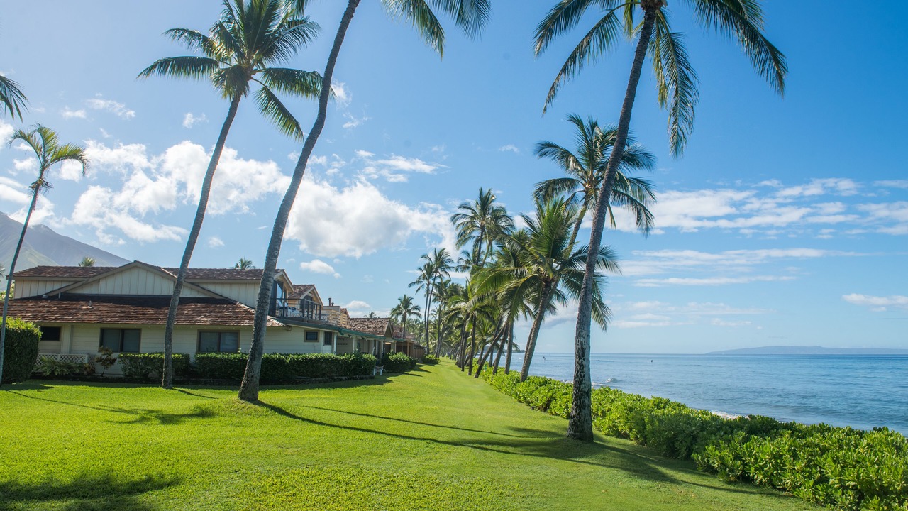 Photo of Outdoor in Downtown Lahaina