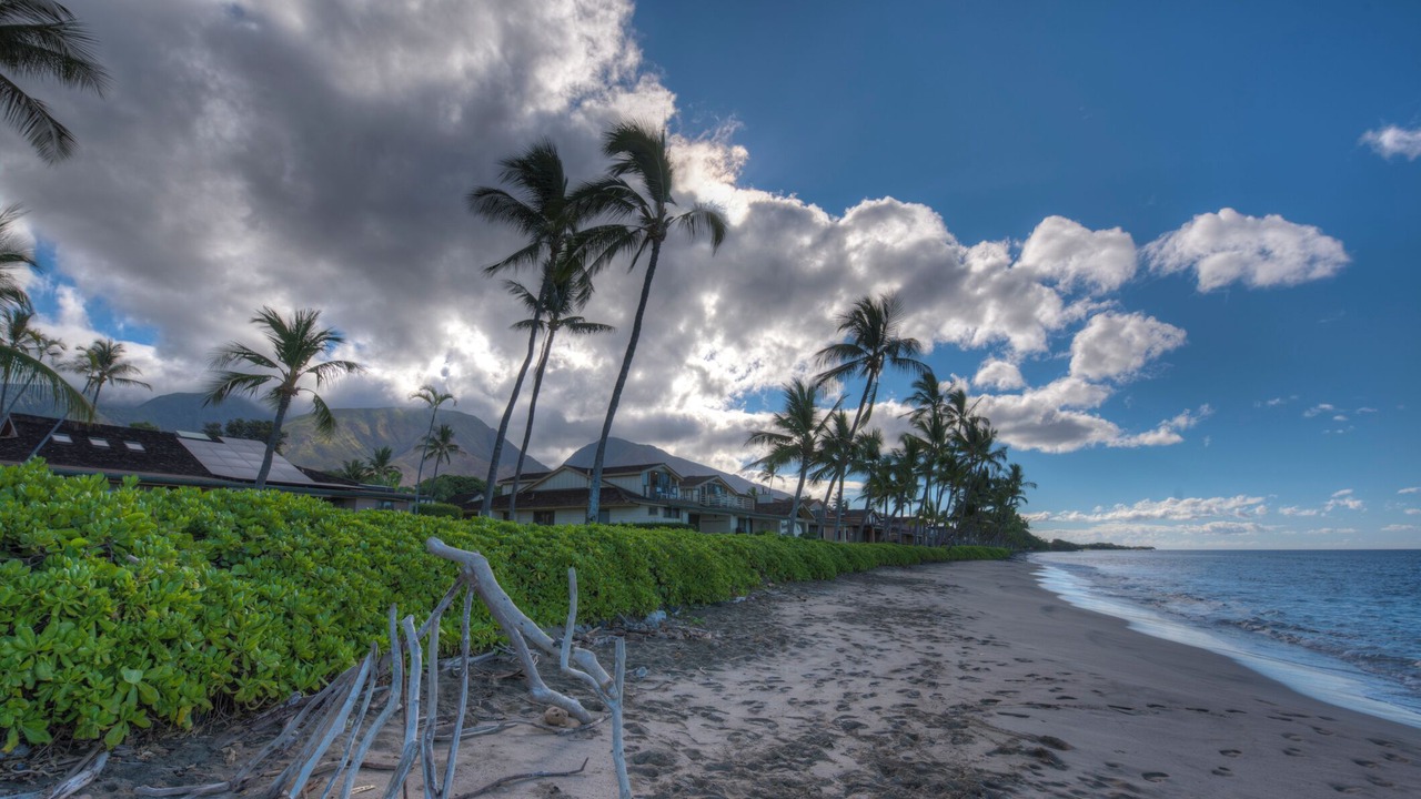 Photo of Others in Downtown Lahaina