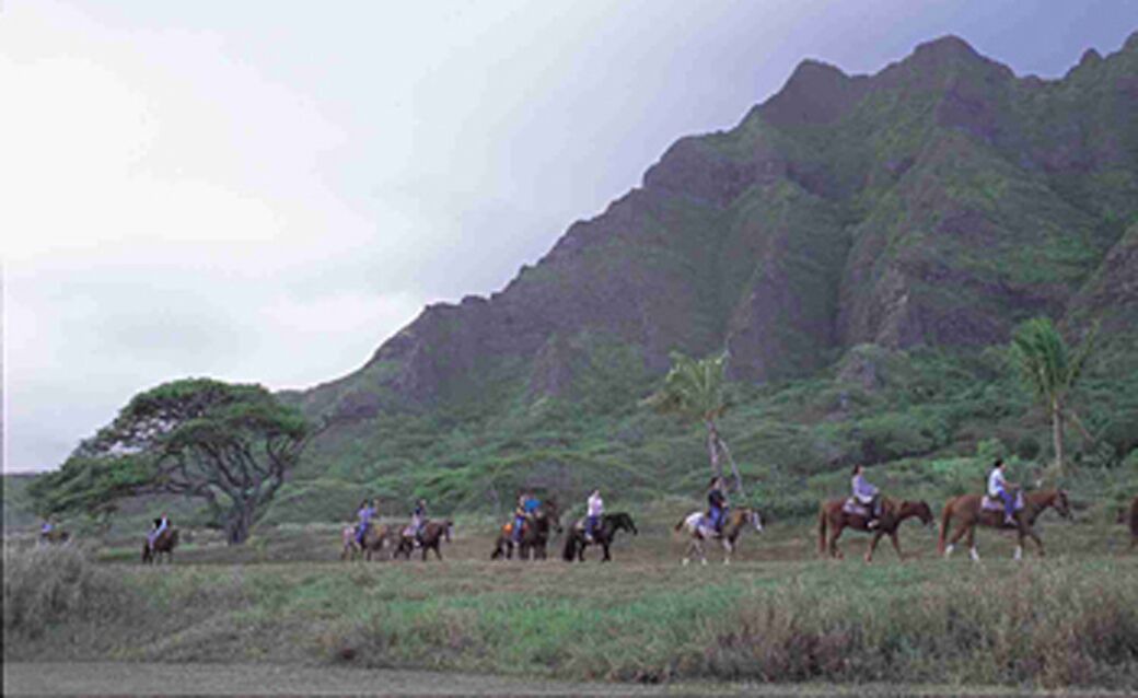 Photo of Outdoor in Kahuku