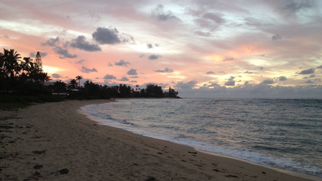 Photo of Others in Waialua