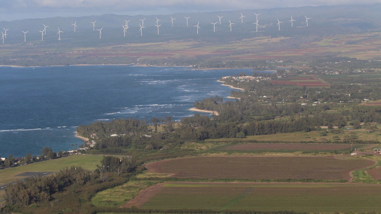 Photo of Others in Waialua