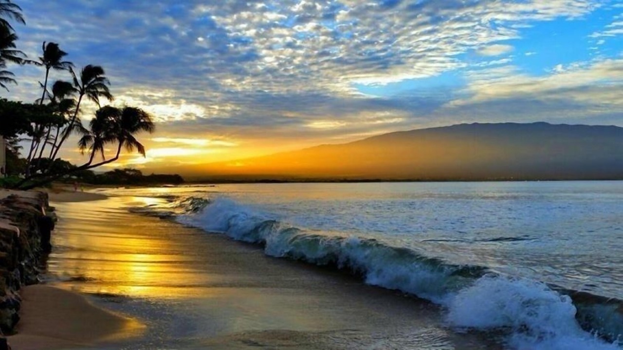 Photo of Others in Maalaea