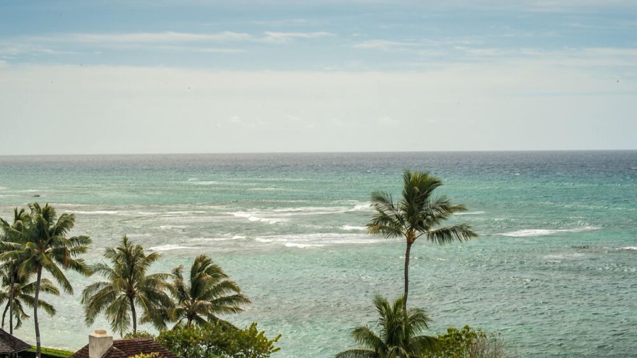 Photo of Others in Diamond Head - Kapahulu - St. Louis