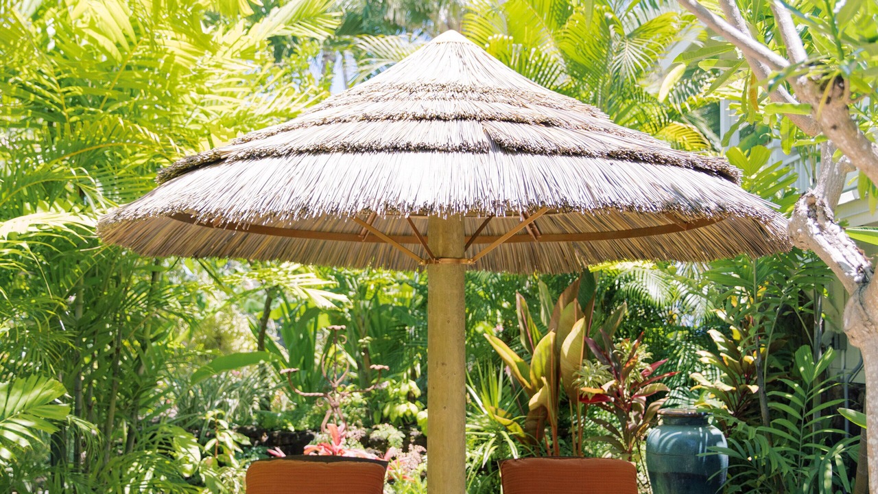 Photo of Outdoor in Kailua