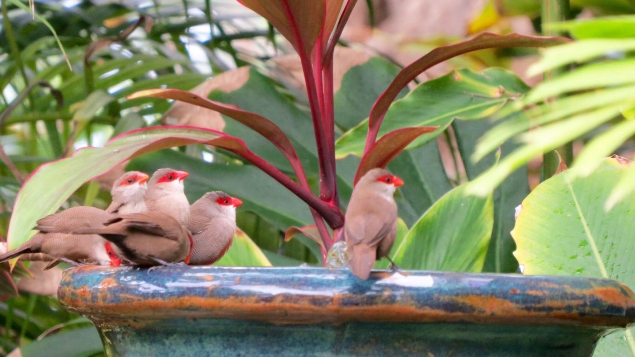 Photo of Outdoor in Kailua