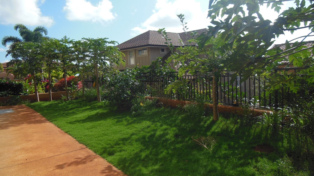 Photo of Outdoor in Kapolei