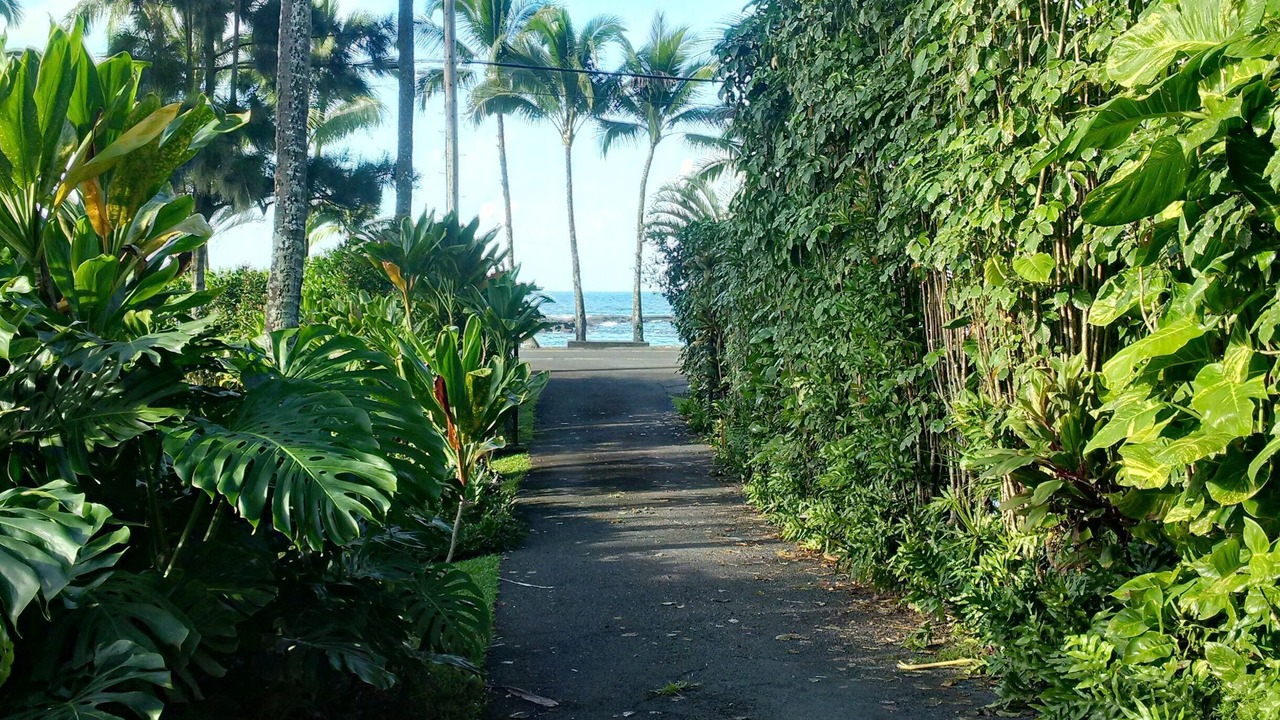 Photo of Others in Hilo