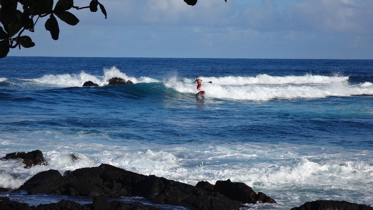 Photo of Others in Hilo
