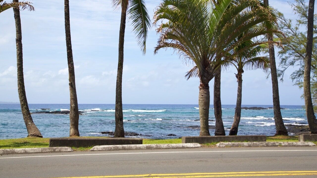 Photo of Others in Hilo