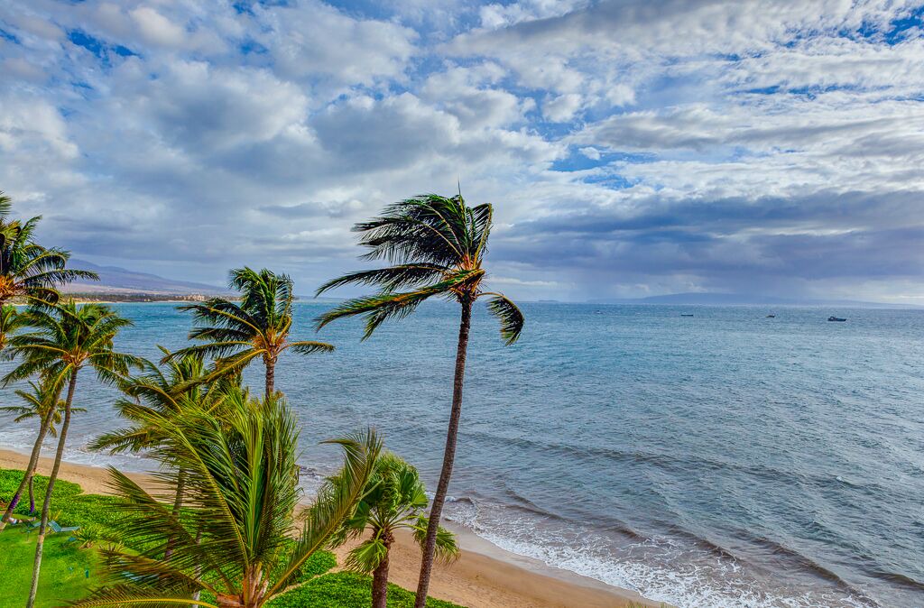 Photo of Others in Kihei