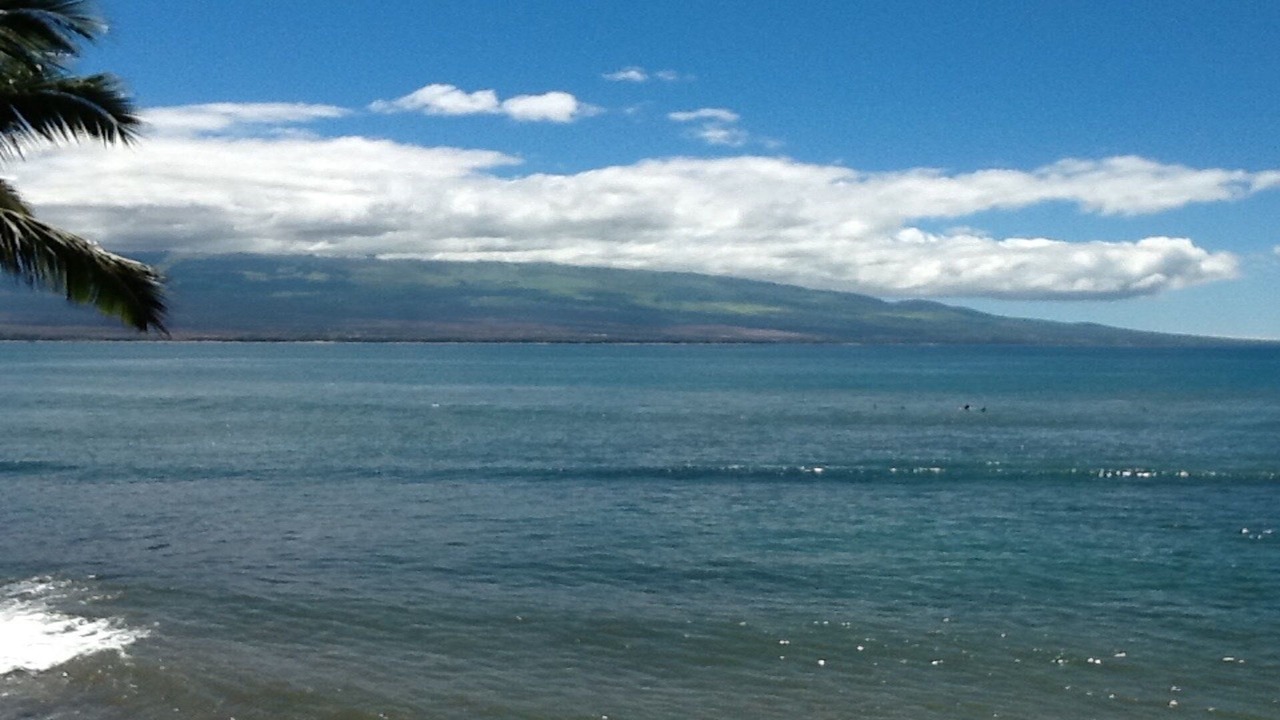 Photo of Others in Maalaea