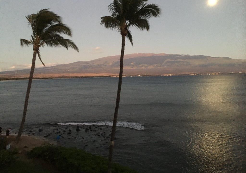 Photo of Others in Maalaea