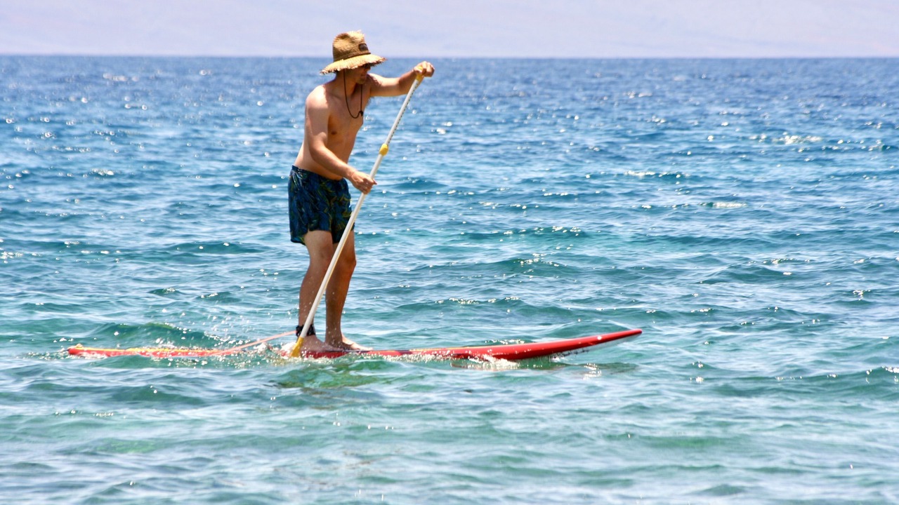 Photo of Others in Kaanapali