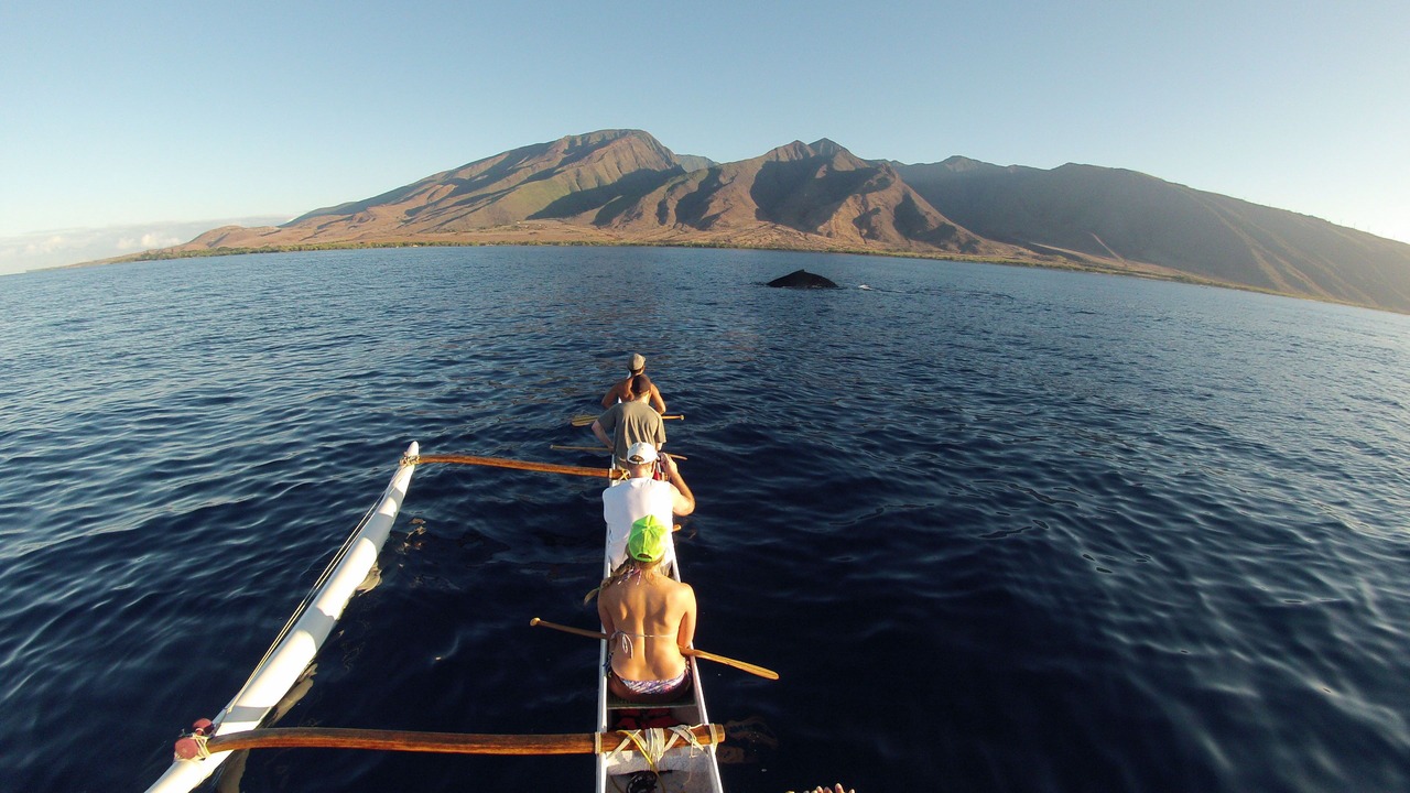 Photo of Others in Kaanapali