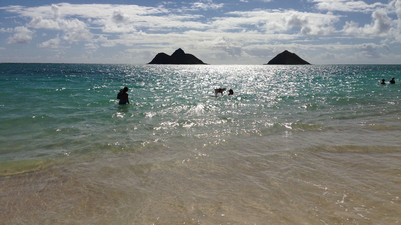 Photo of Others in Kailua