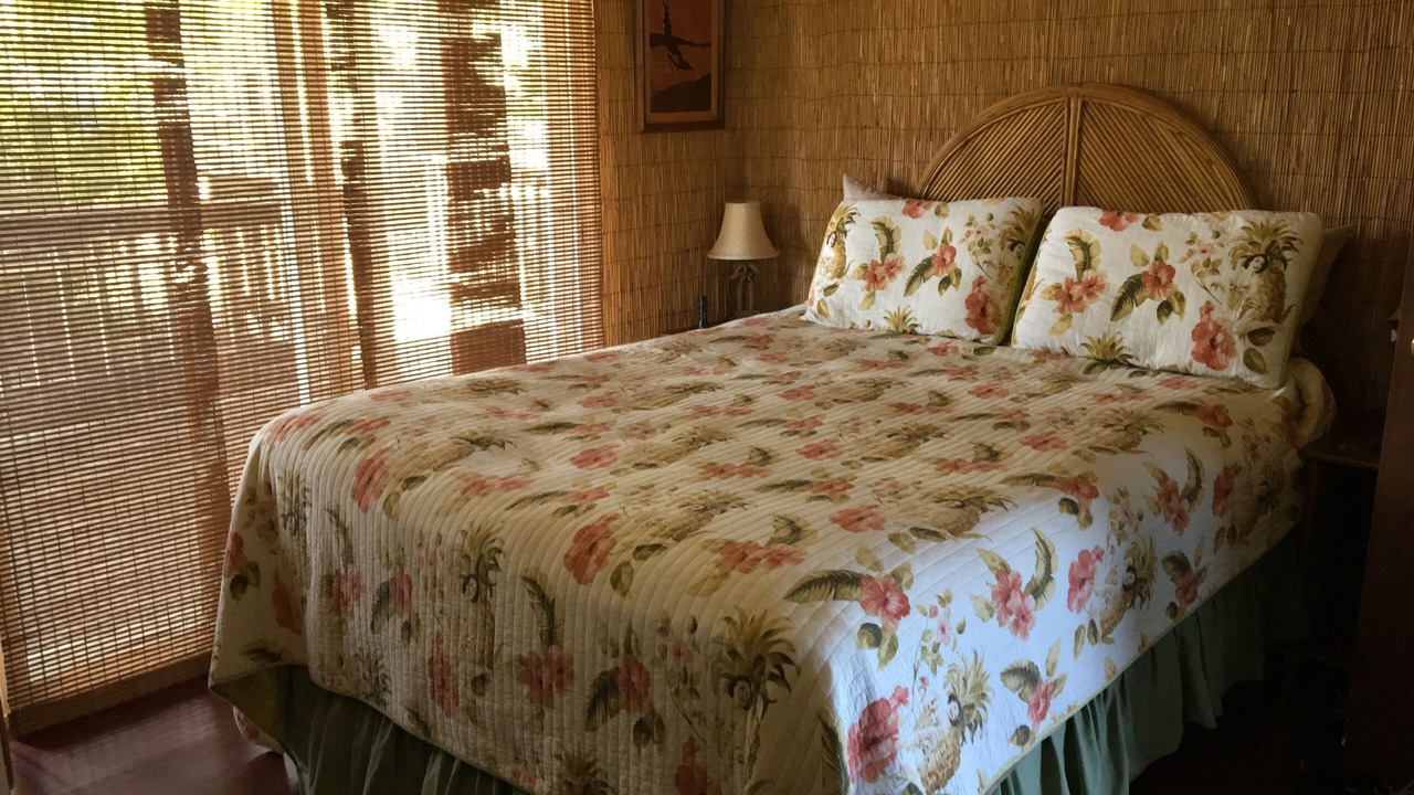 Photo of Bedroom in Hawi