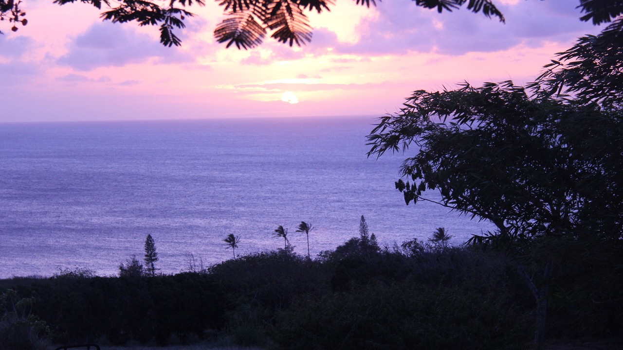 Photo of Others in Hawi