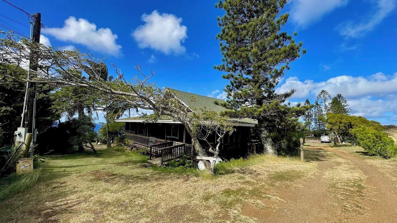 Photo of Outdoor in Hawi