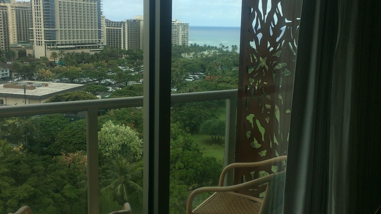 Photo of Others in Waikiki