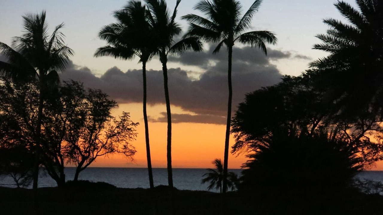 Photo of Others in Kihei