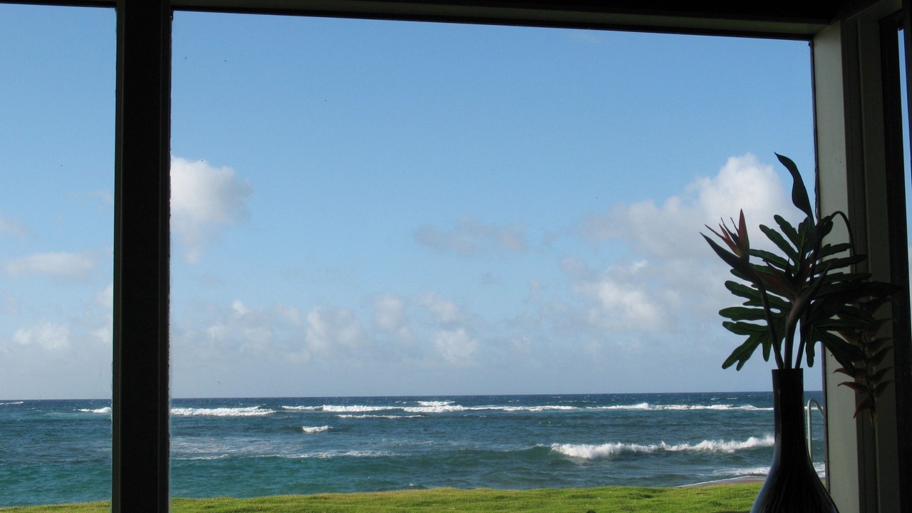 Photo of Others in Waialua