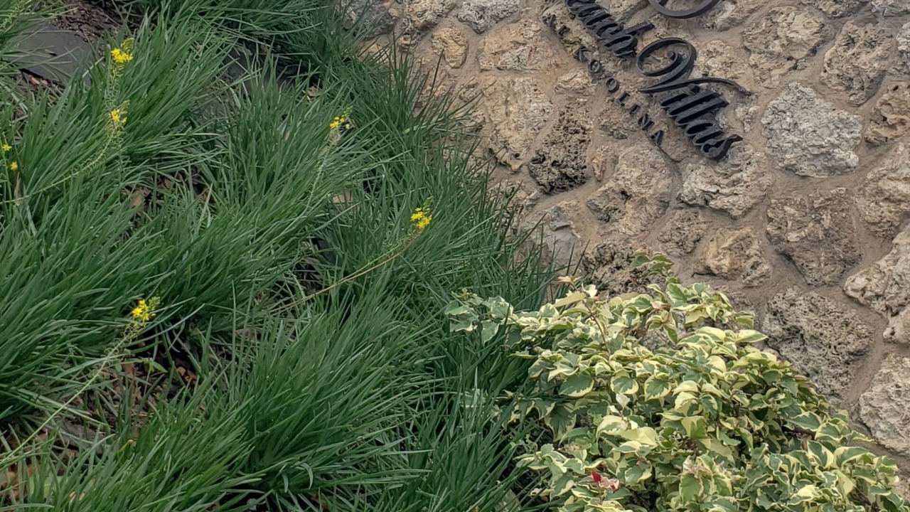 Photo of Outdoor in Ko Olina