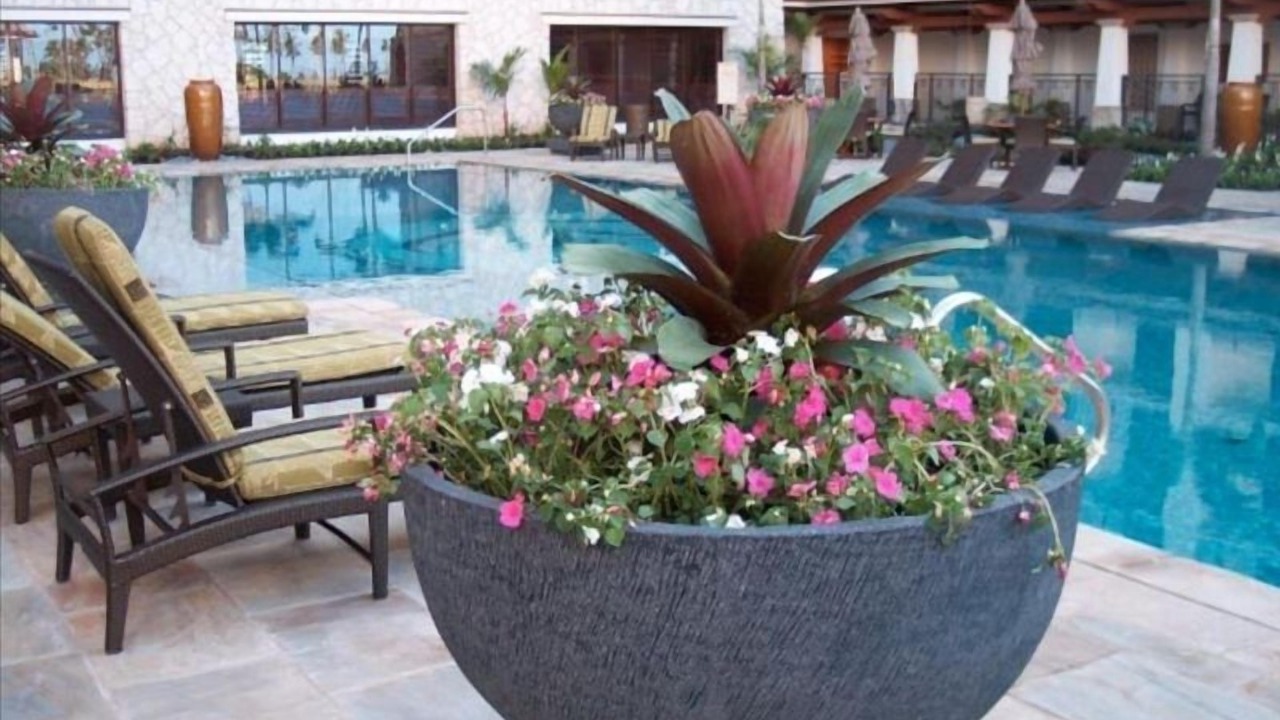 Photo of Outdoor in Ko Olina