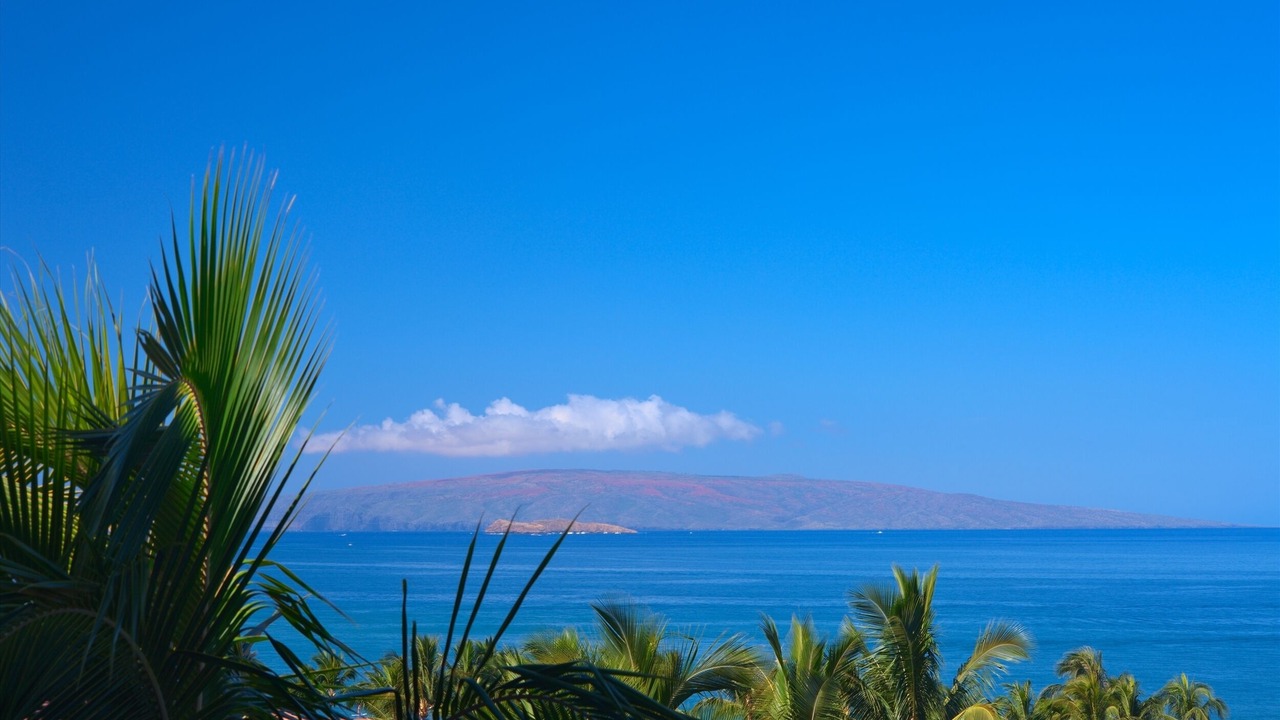 Photo of Others in Wailea