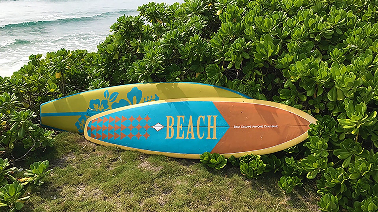Photo of Others in Ewa Beach