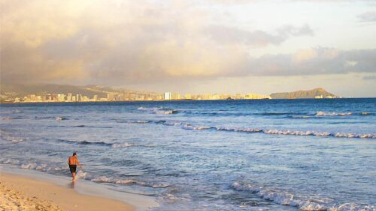 Photo of Others in Ewa Beach