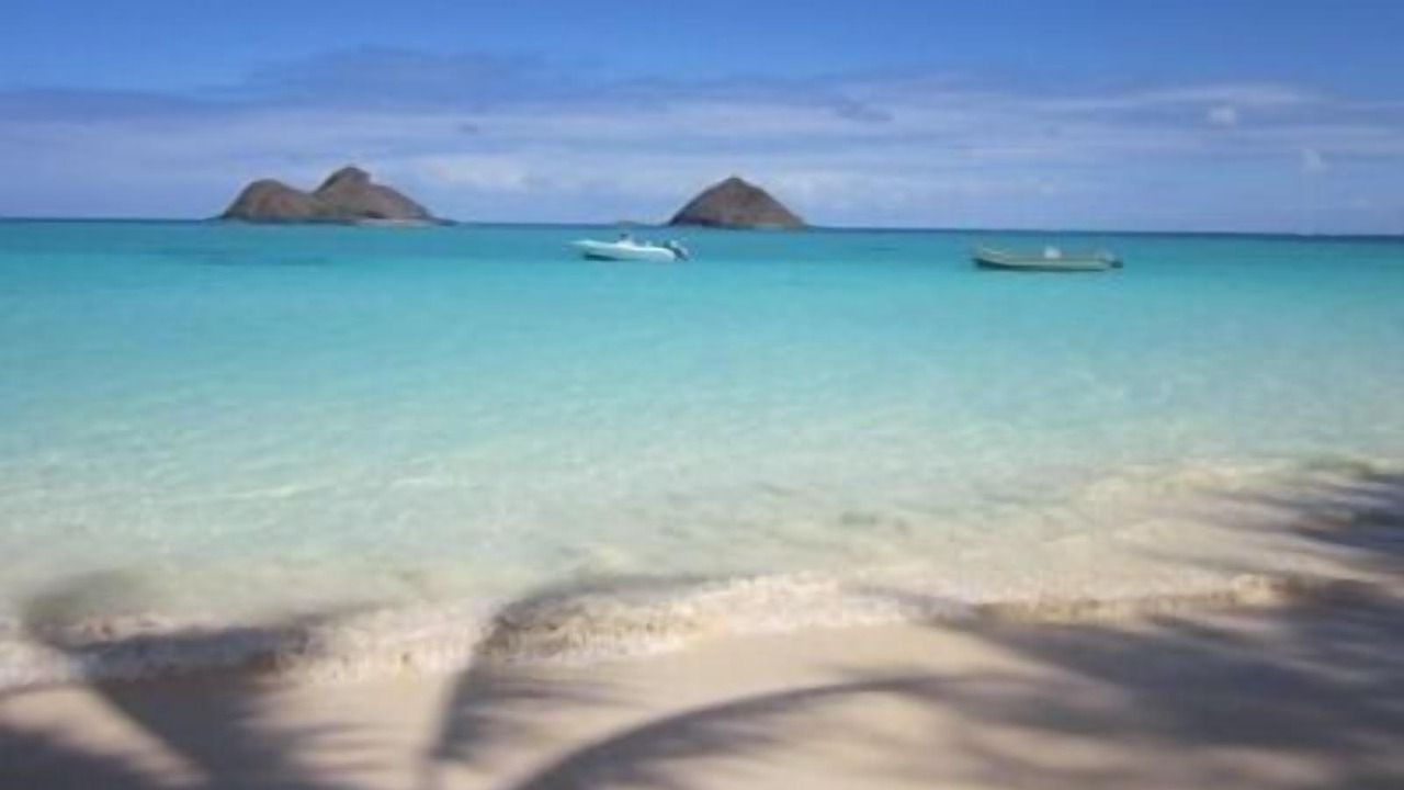 Photo of Others in Kailua