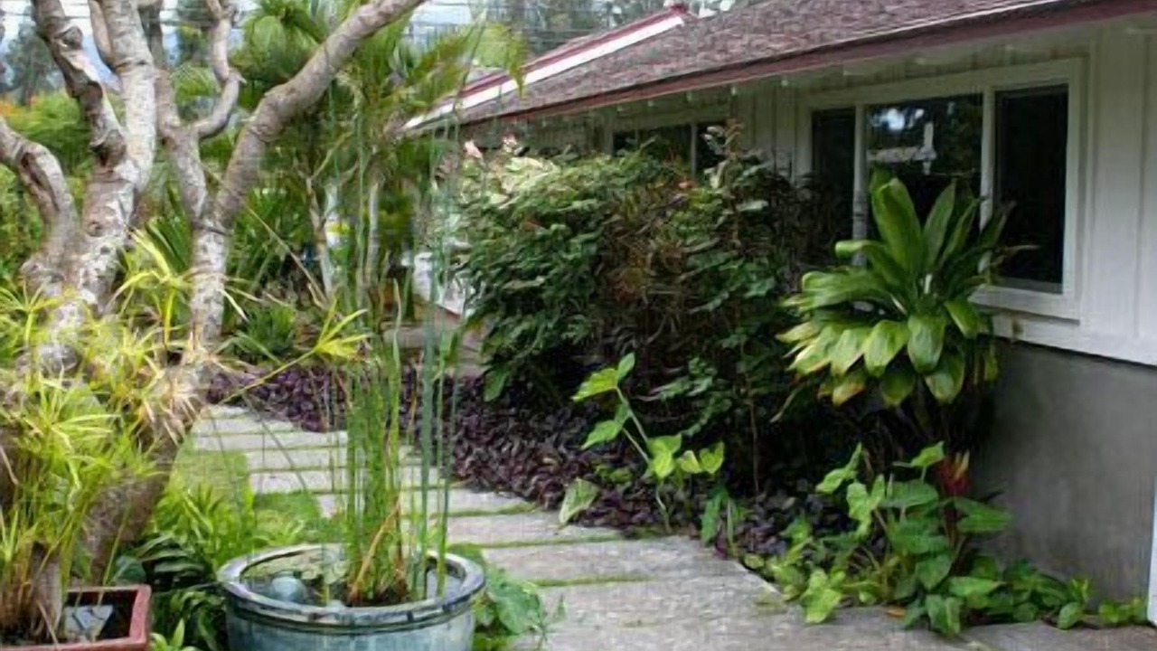 Photo of Outdoor in Mokuleia