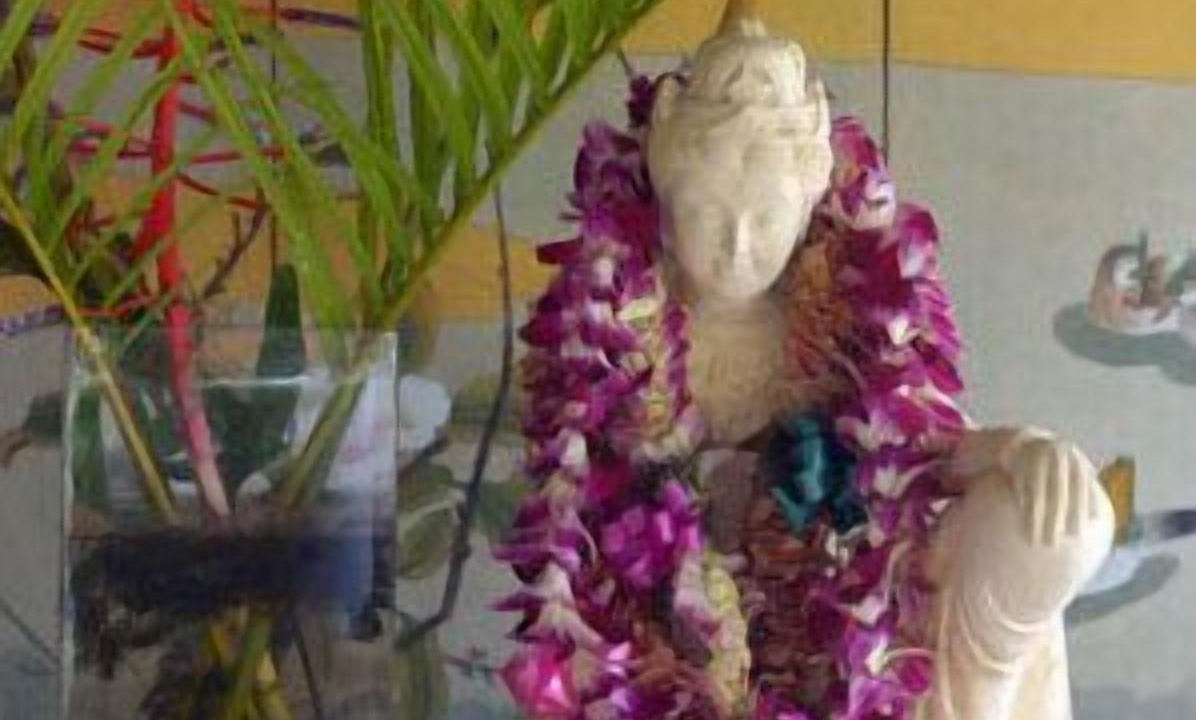 Photo of Others in Mokuleia