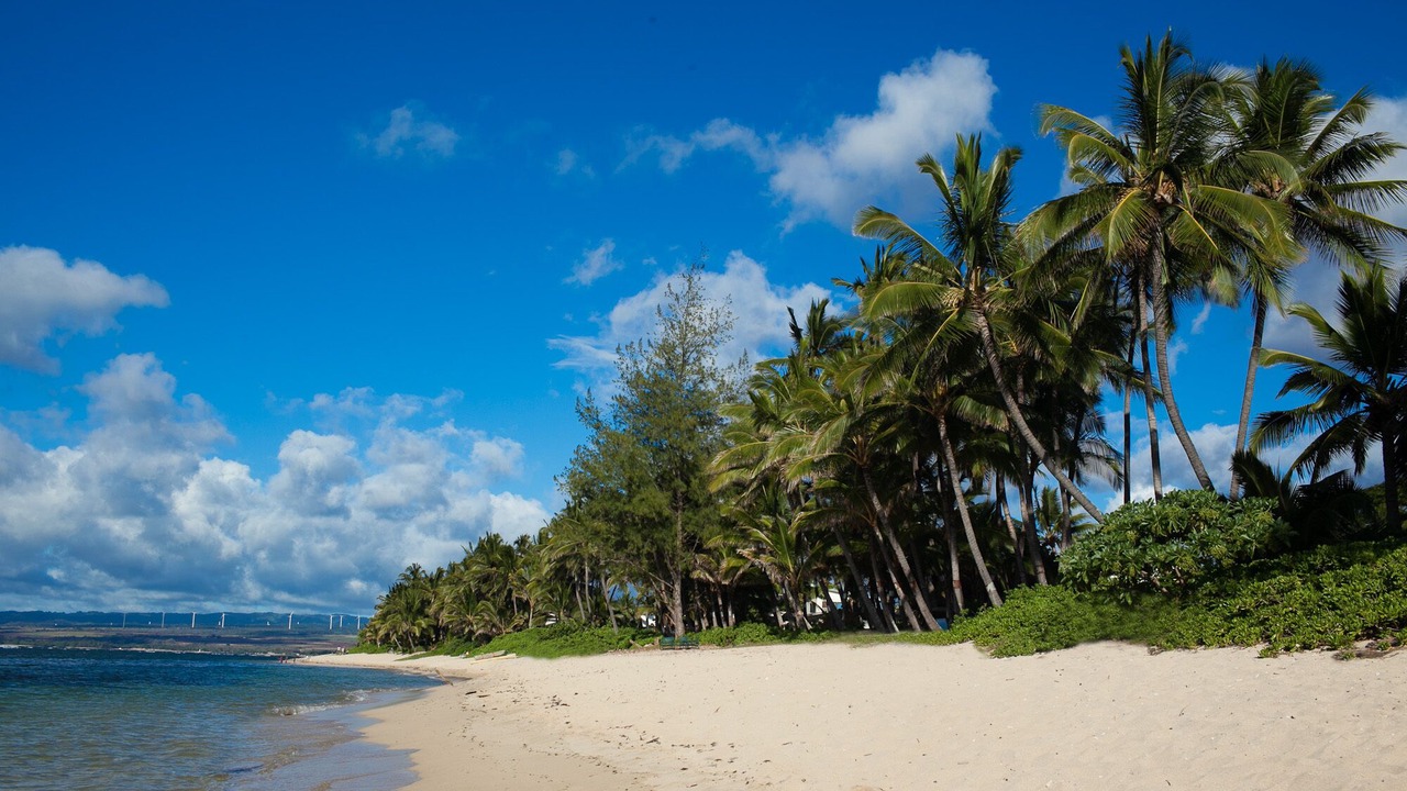 Photo of Others in Mokuleia