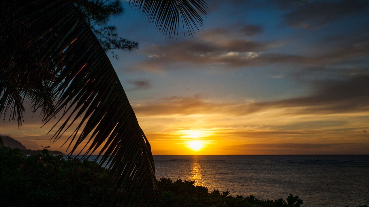 Photo of Others in Mokuleia