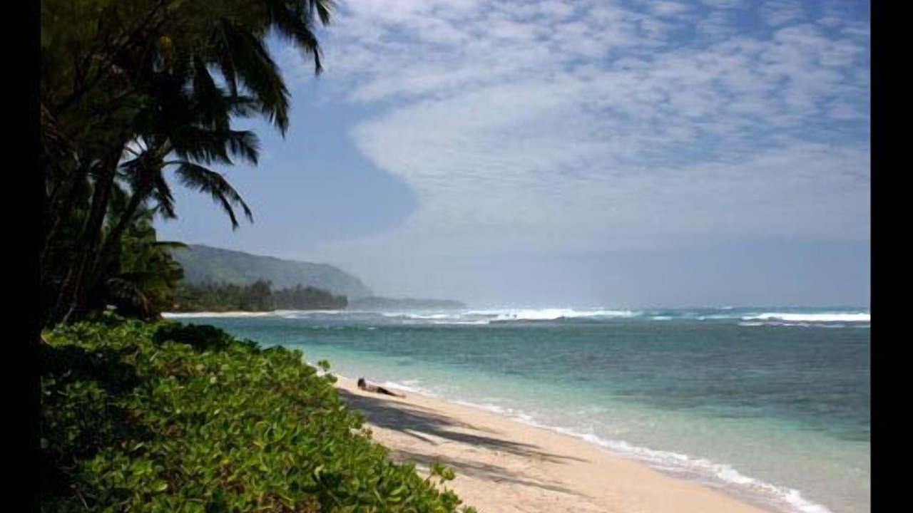 Photo of Others in Mokuleia