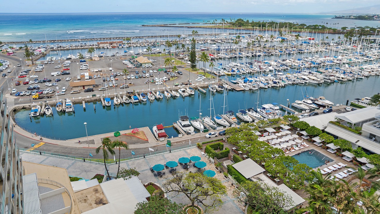 Photo of Others in Waikiki